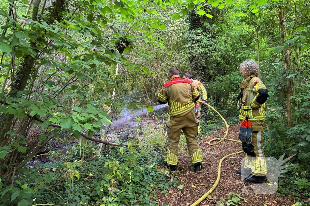 Brand in bosschages om onbekende oorzaak