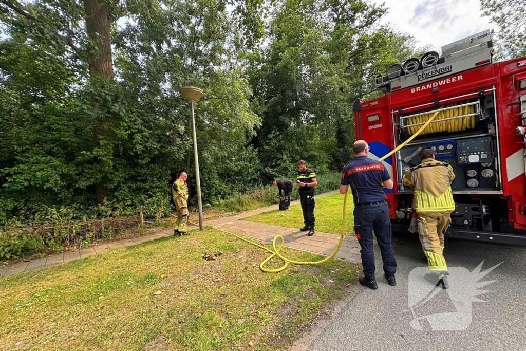 Brand in bosschages om onbekende oorzaak