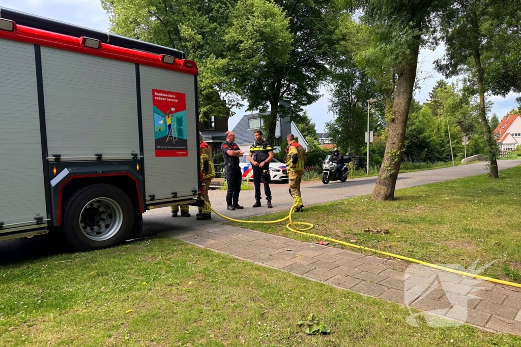 Brand in bosschages om onbekende oorzaak