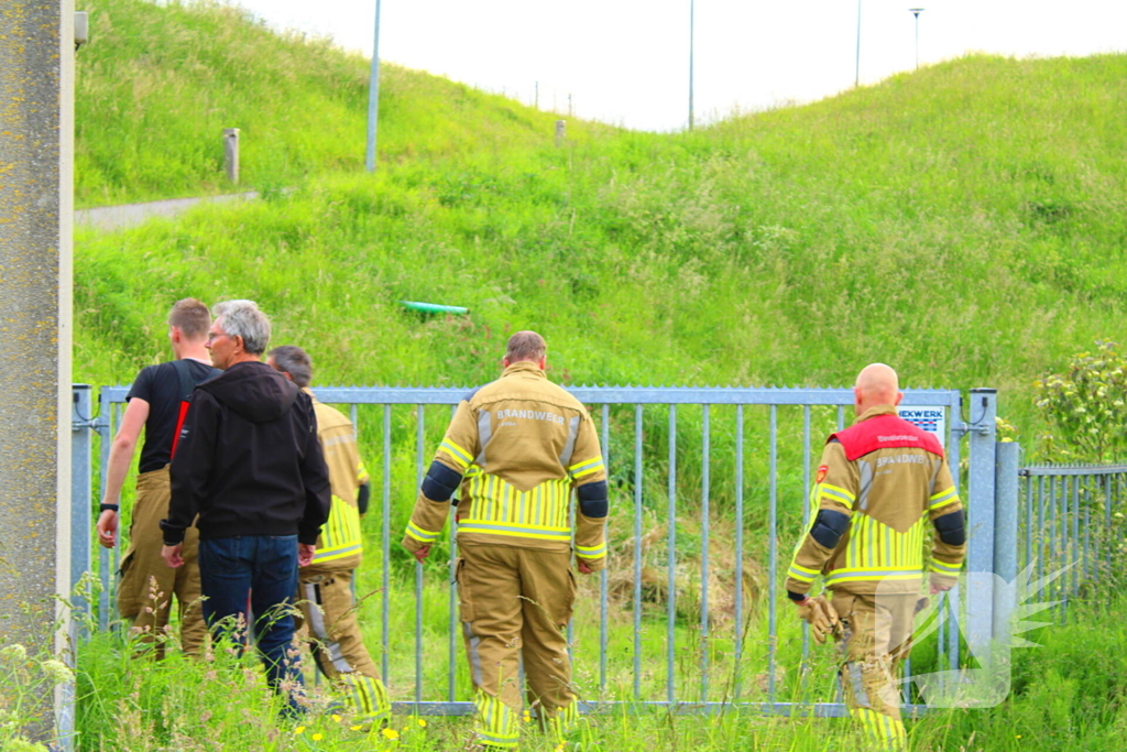 Brandweer ingezet voor schaap
