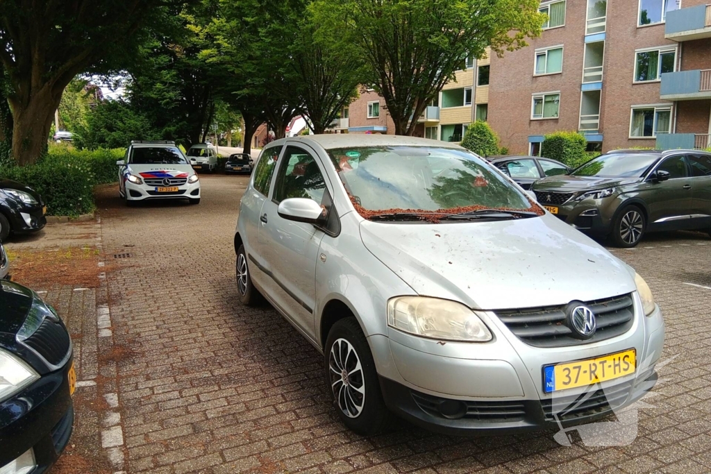 Politie vindt gestolen auto