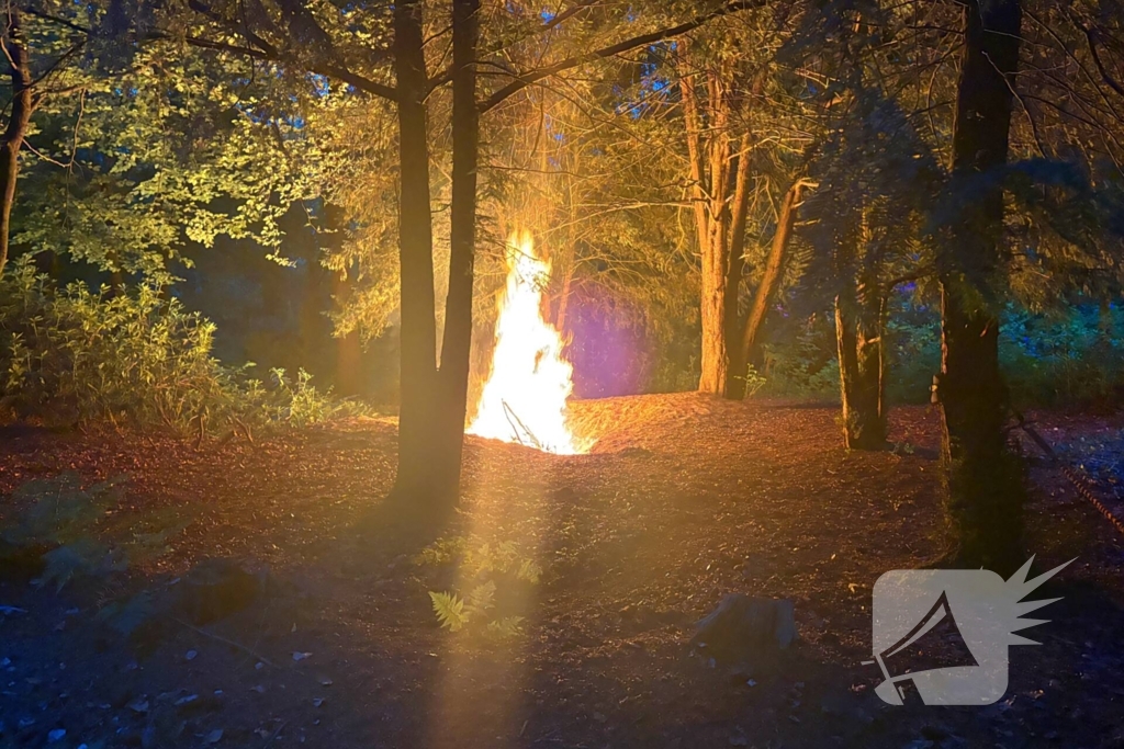 Brandweer ingezet voor bosbrand