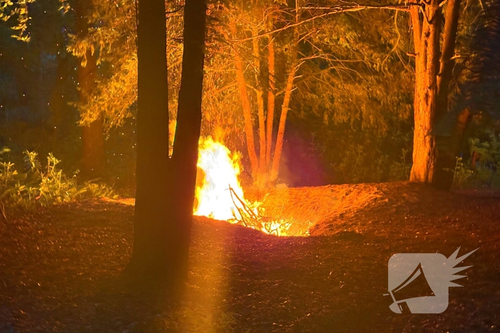 Brandweer ingezet voor bosbrand
