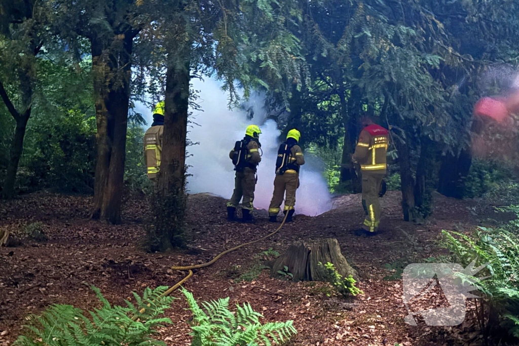 Brandweer ingezet voor bosbrand