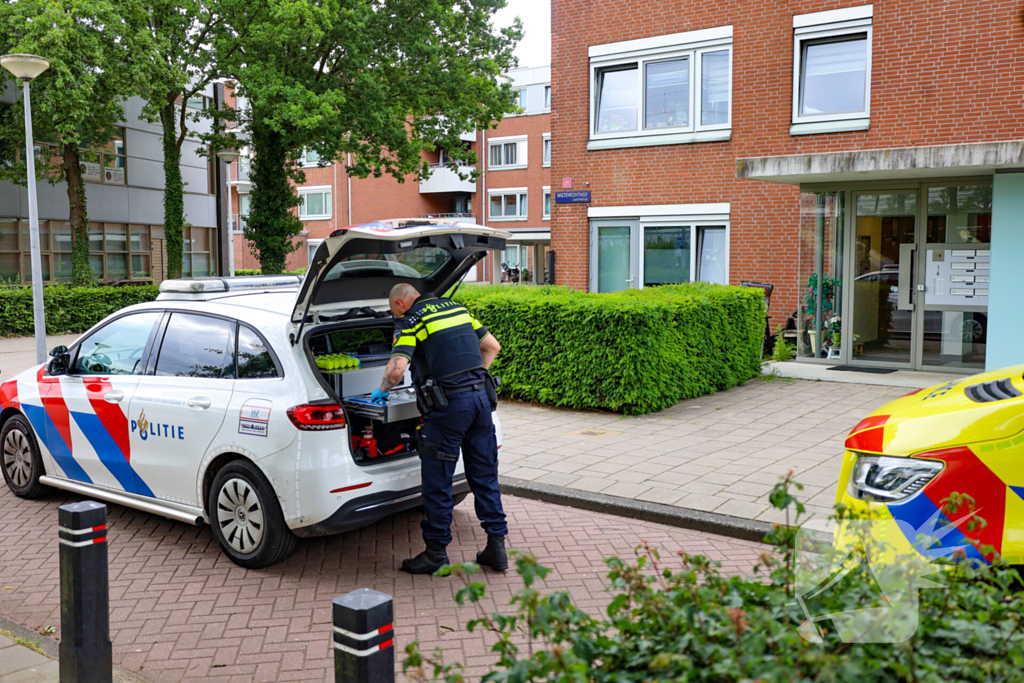 Steekincident leidt tot lichtgewonde