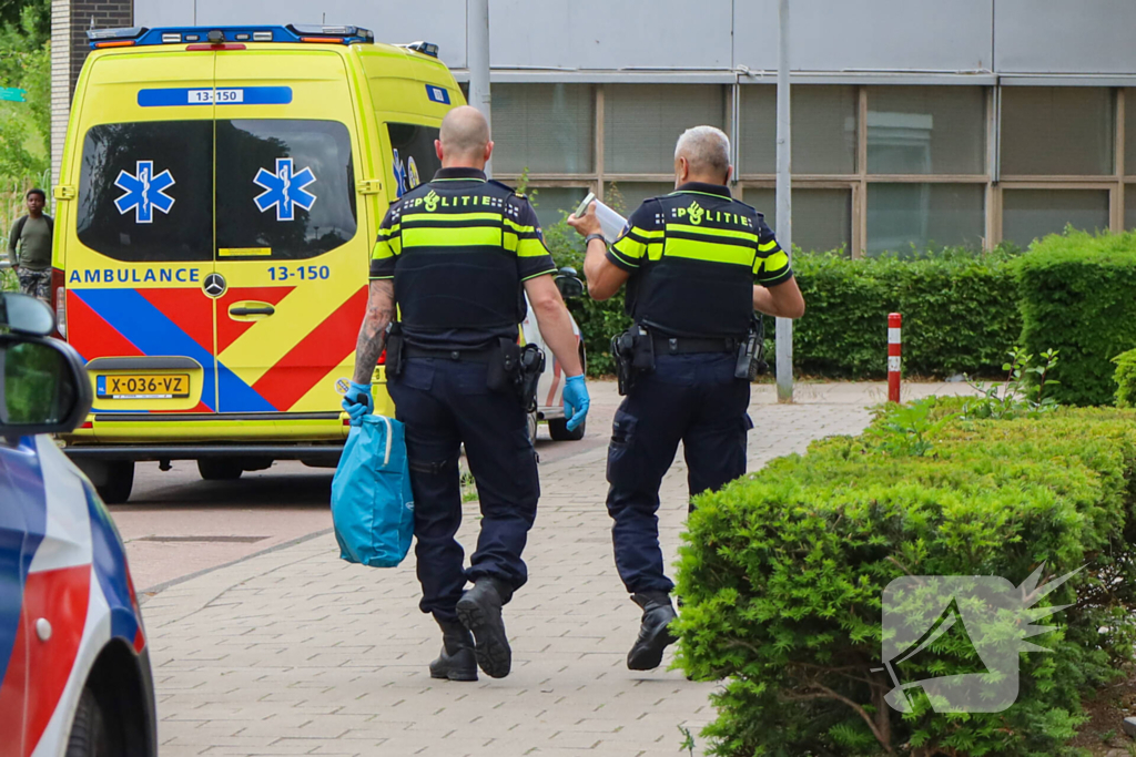 Steekincident leidt tot lichtgewonde