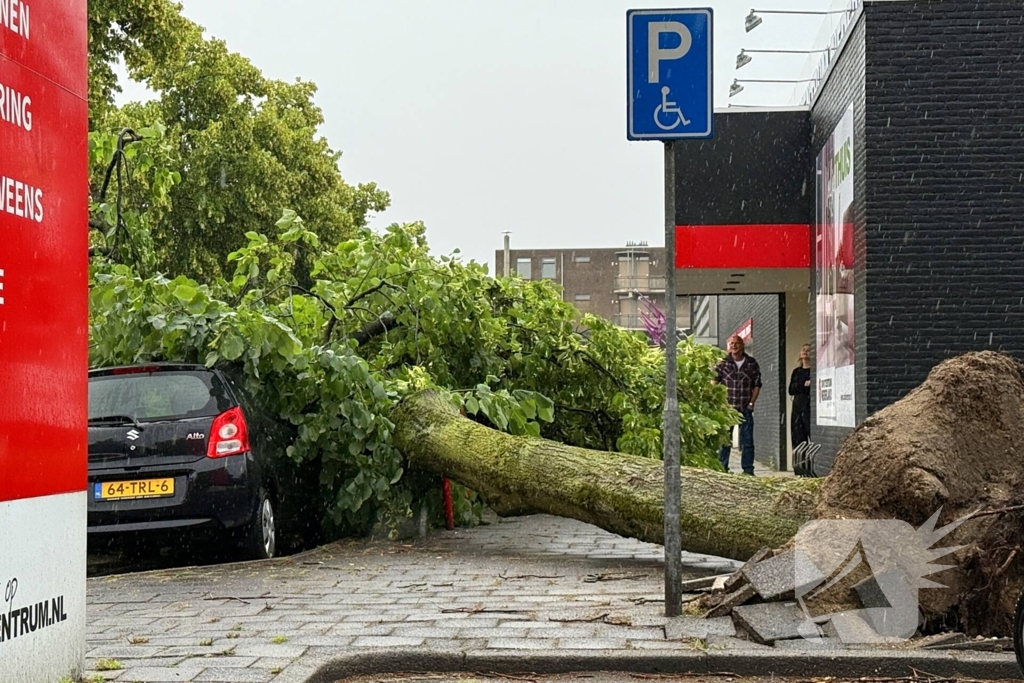 Boom valt op auto's, geen gewonden