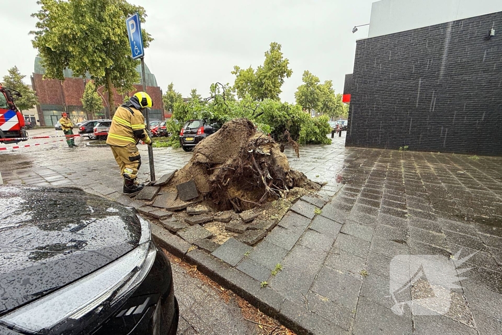 Boom valt op auto's, geen gewonden