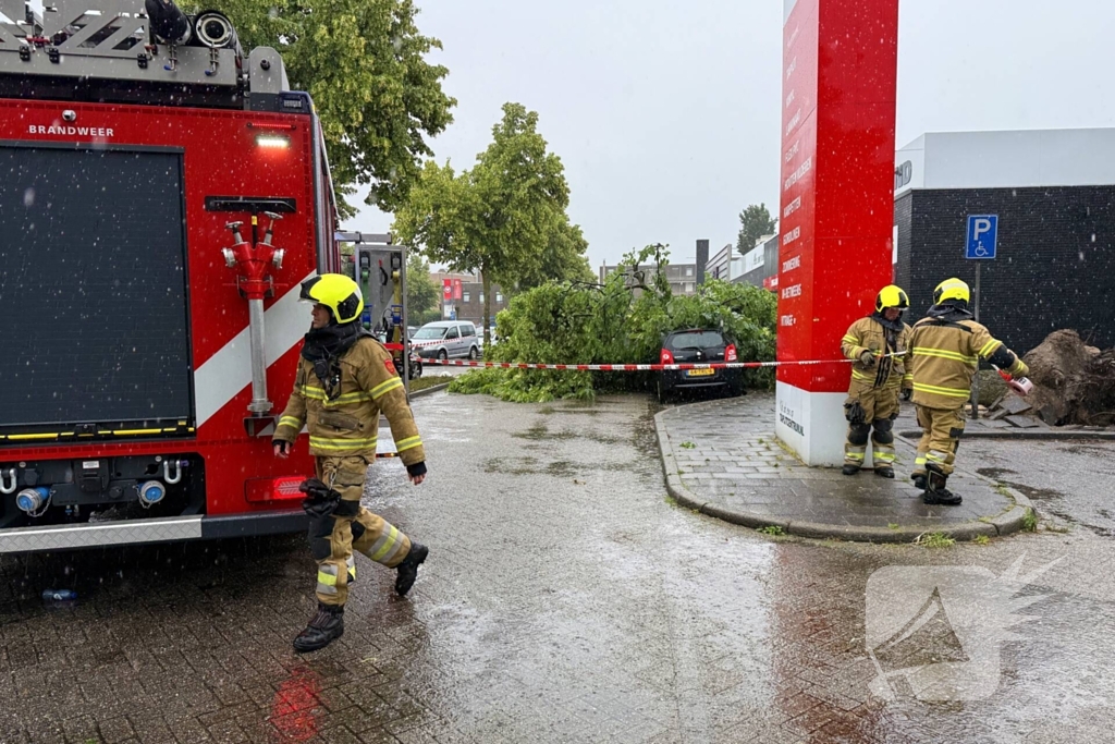 Boom valt op auto's, geen gewonden