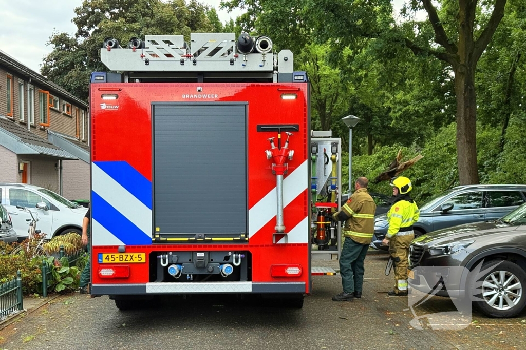 Wederom valt boom op auto