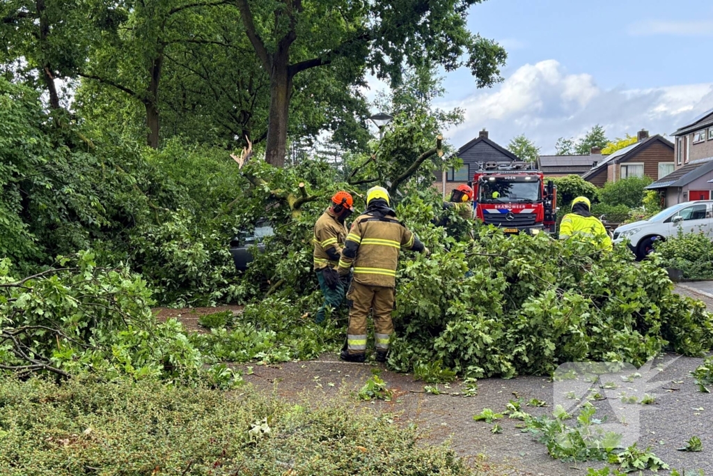 Wederom valt boom op auto