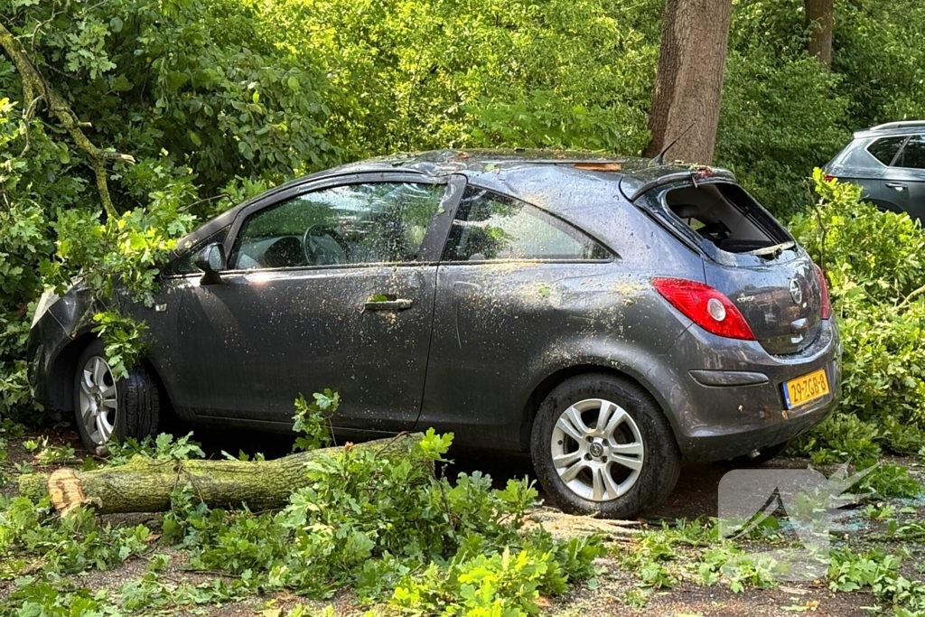 Wederom valt boom op auto