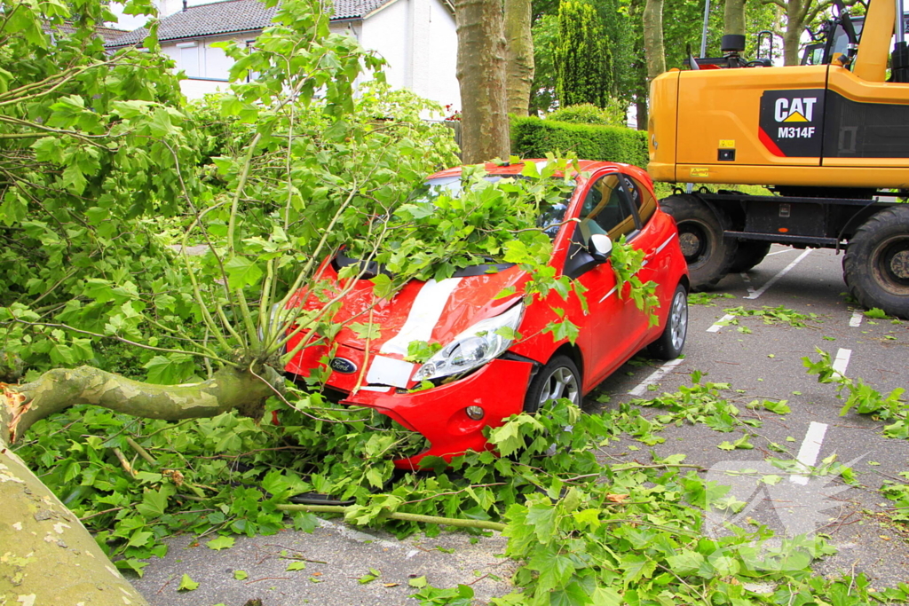 Auto beschadigd door omgevallen boom