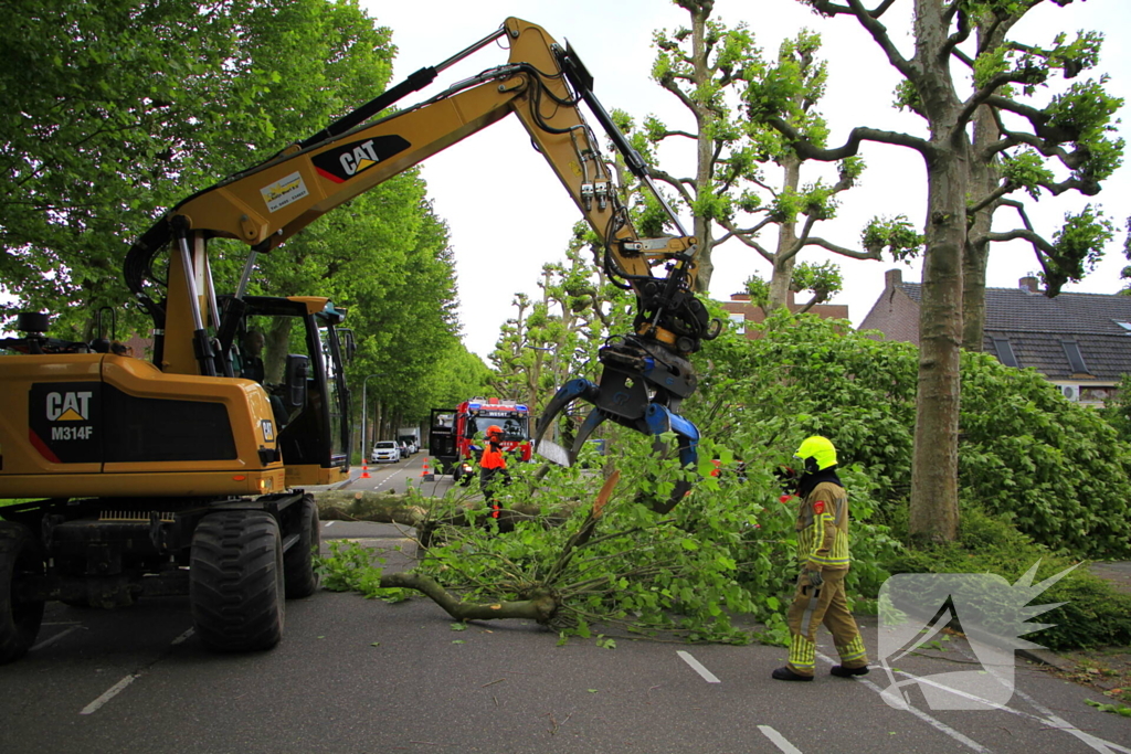 Auto beschadigd door omgevallen boom