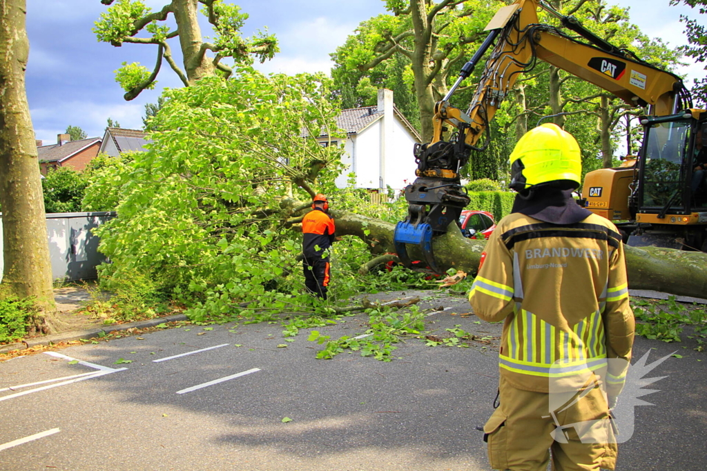 Auto beschadigd door omgevallen boom