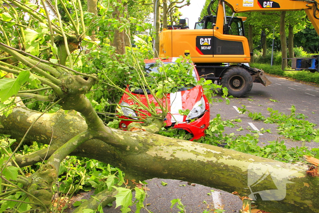 Auto beschadigd door omgevallen boom