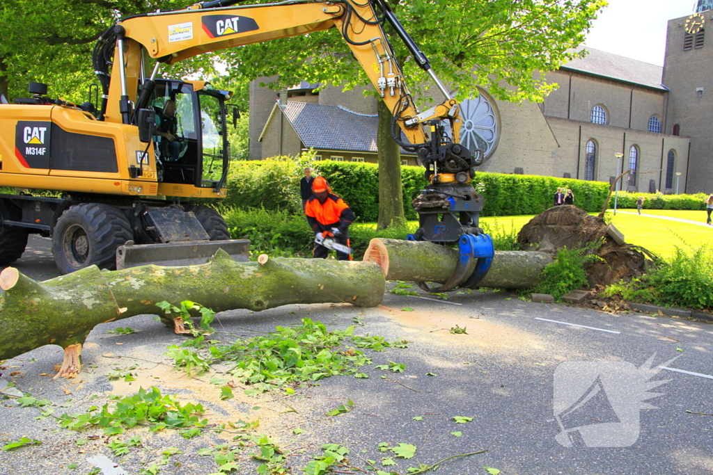 Auto beschadigd door omgevallen boom