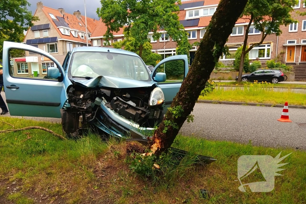 Bestelauto botst frontaal op boom