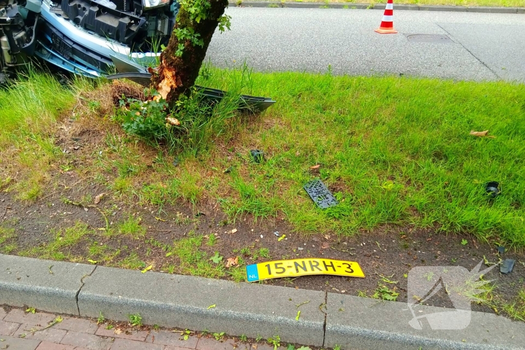 Bestelauto botst frontaal op boom
