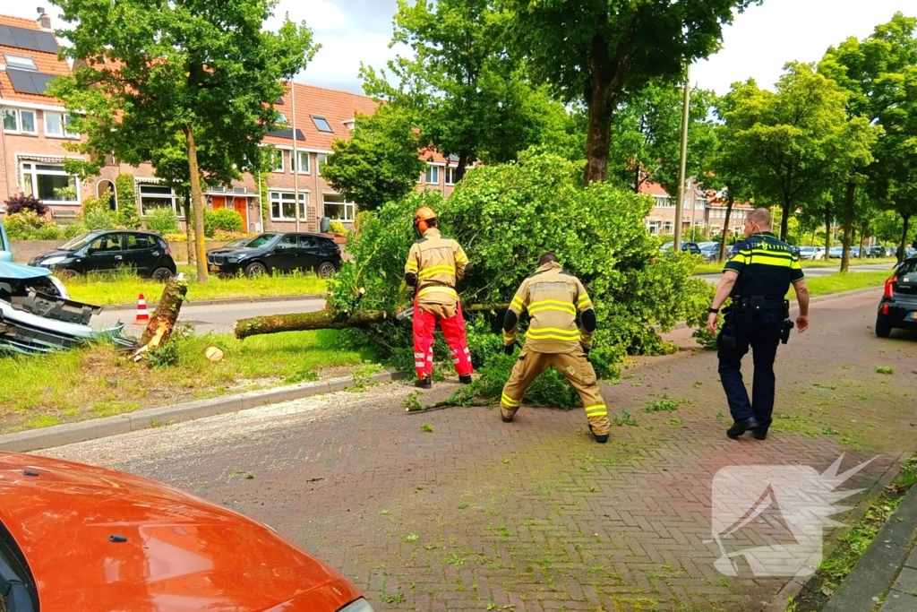 Bestelauto botst frontaal op boom