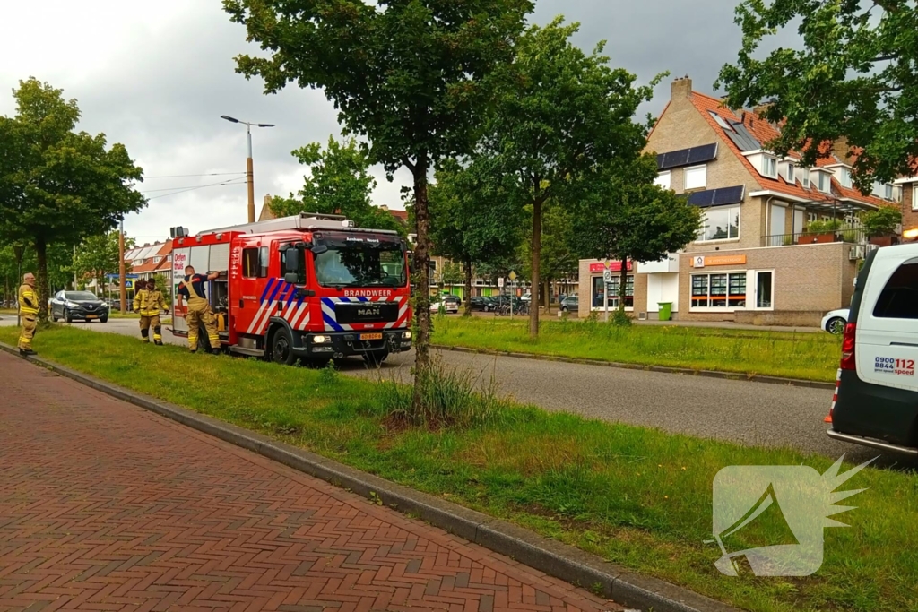 Bestelauto botst frontaal op boom