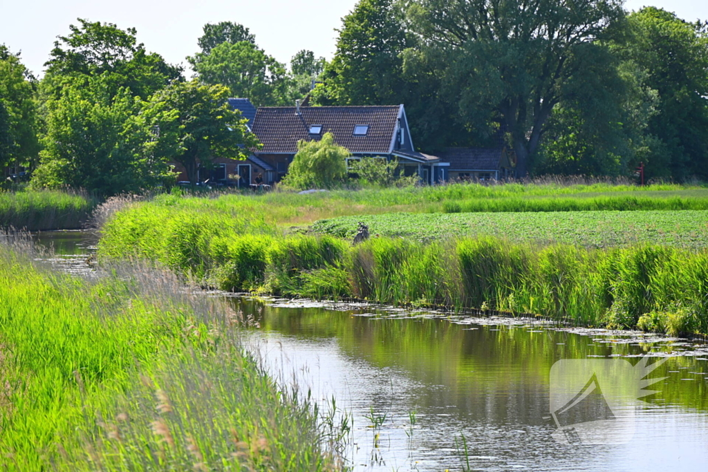 Minirooimachine belandt in vaart