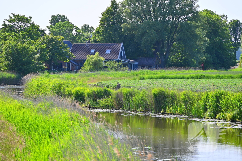Minirooimachine belandt in vaart