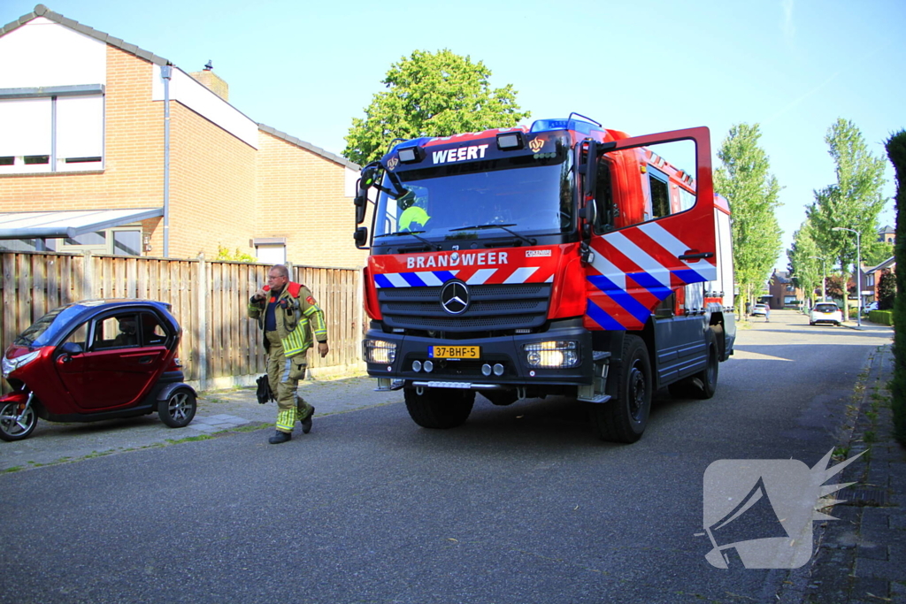 Buitenbrand verwoest coniferenhaag