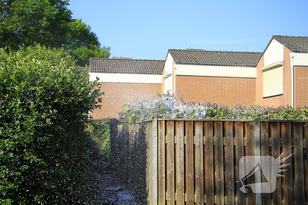 Buitenbrand verwoest coniferenhaag