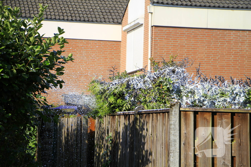 Buitenbrand verwoest coniferenhaag