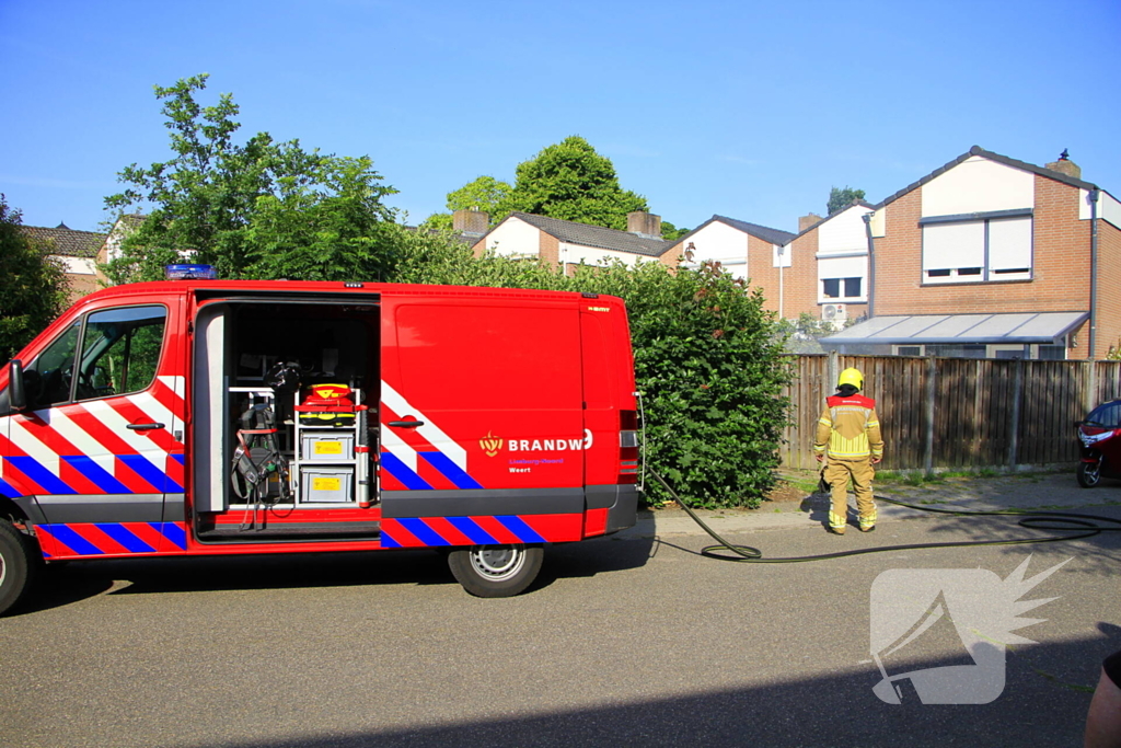 Buitenbrand verwoest coniferenhaag