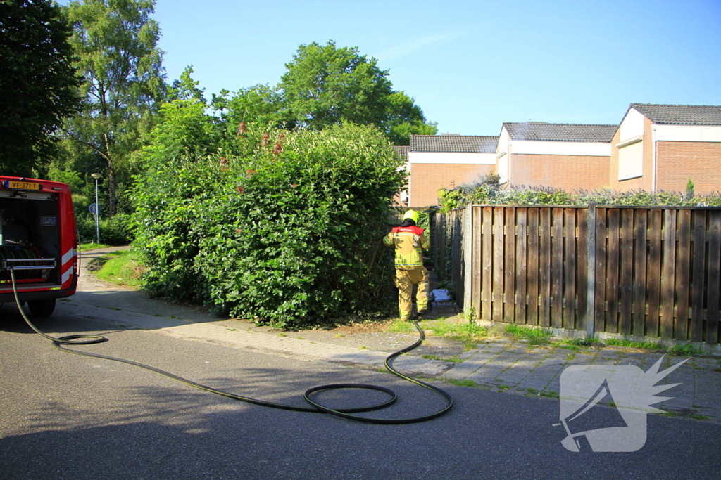 Buitenbrand verwoest coniferenhaag