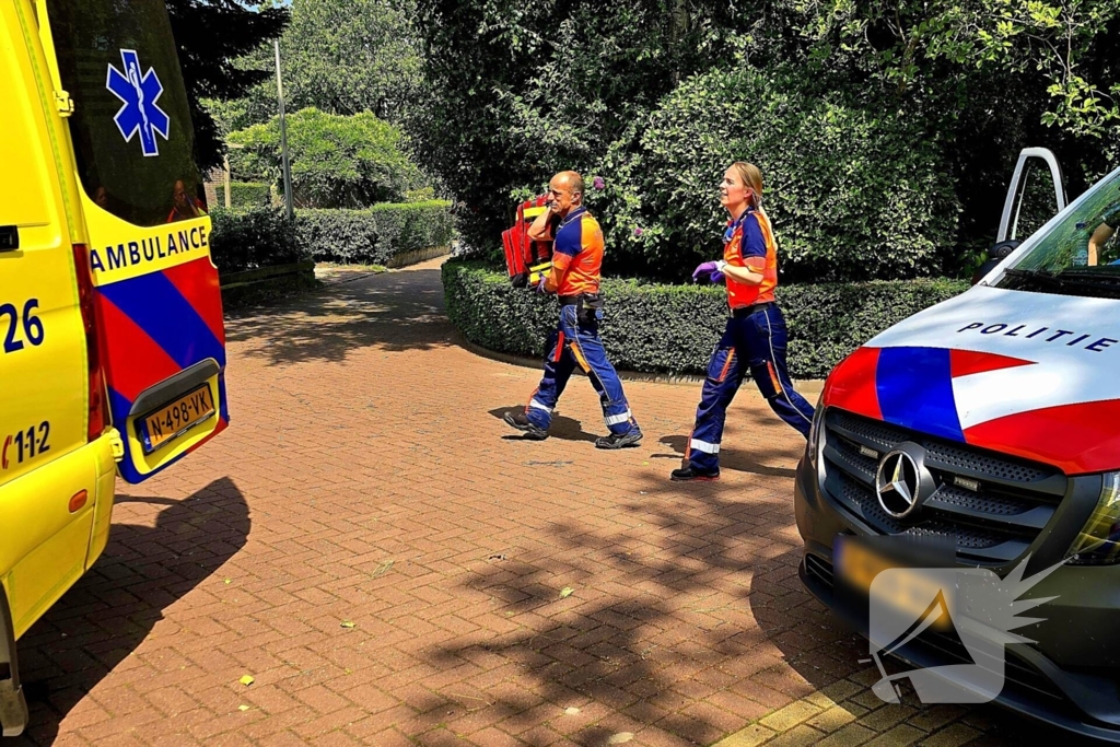 Wespsteek leidt tot inzet traumahelikopter