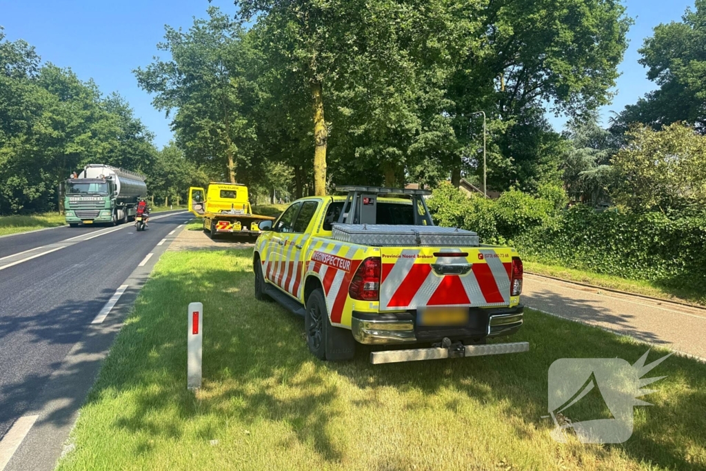 Shetland pony wordt slachtoffer van ongeval op drukke weg