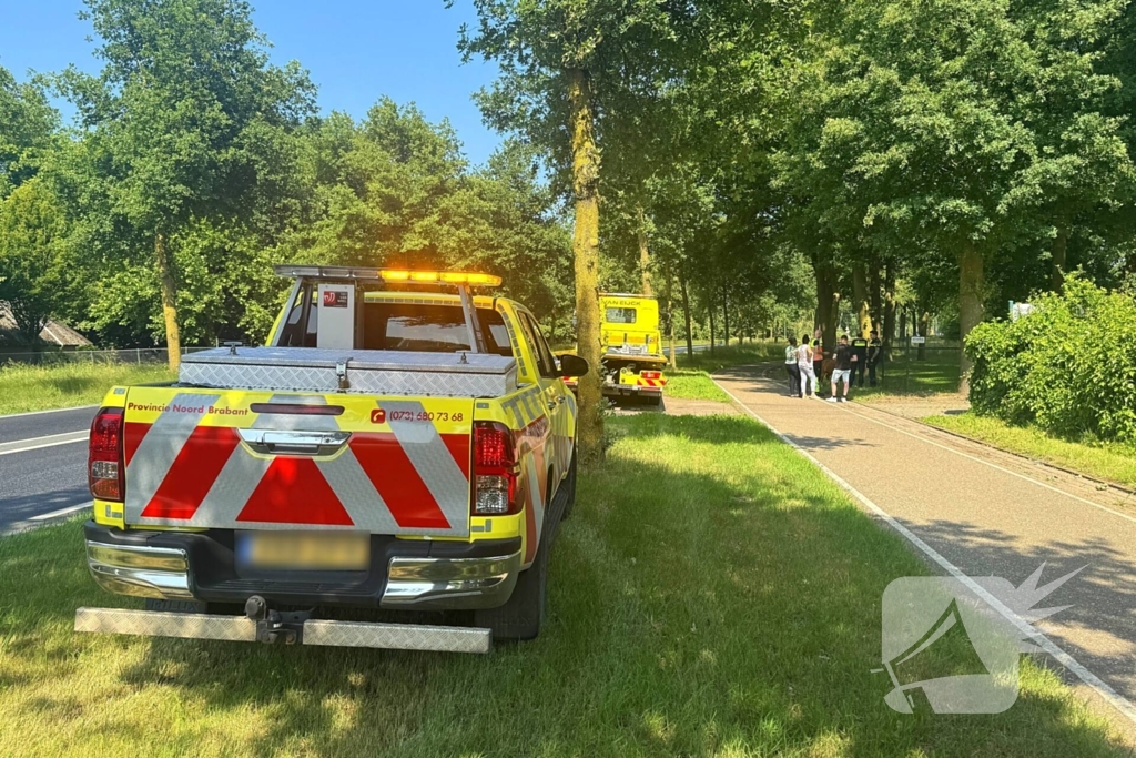 Shetland pony wordt slachtoffer van ongeval op drukke weg