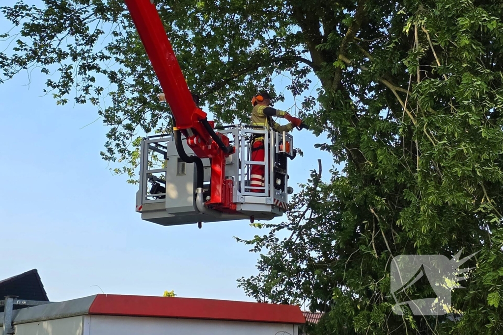 Brandweer verwijdert gevaarlijke hangende tak