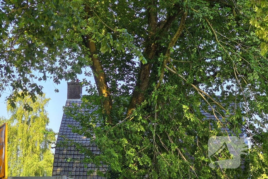 Brandweer verwijdert gevaarlijke hangende tak
