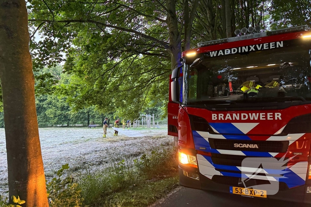 Brand in grasveld snel onder controle