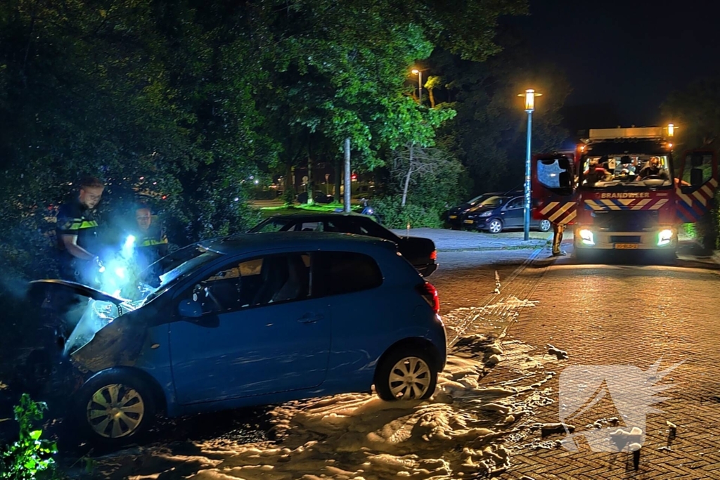 Voertuig in vlammen opgegaan