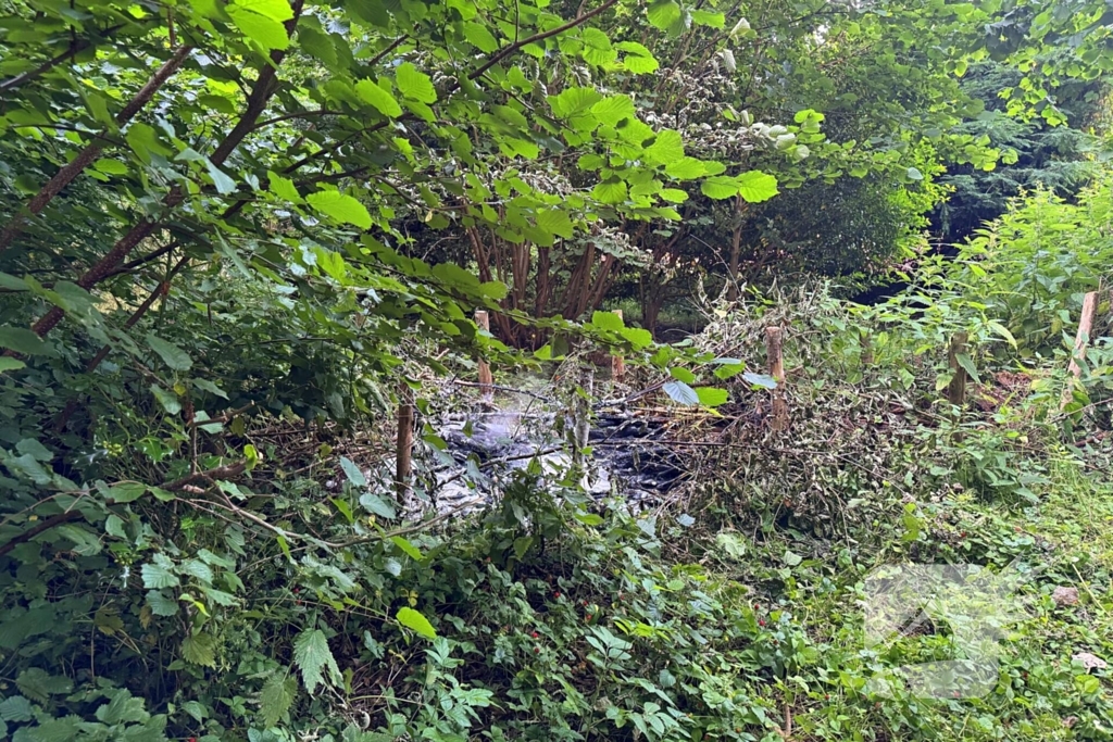 Passanten blussen brand in bosschages