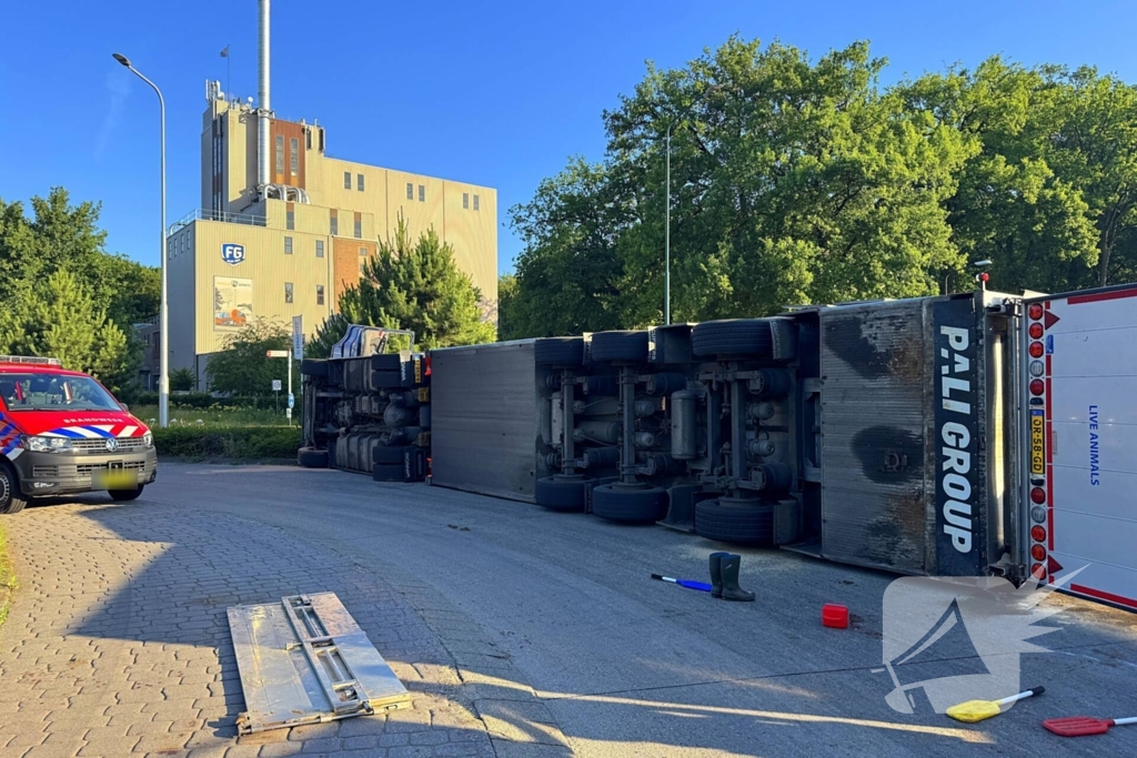 Vrachtwagen met varkens kantelt en blokkeert weg