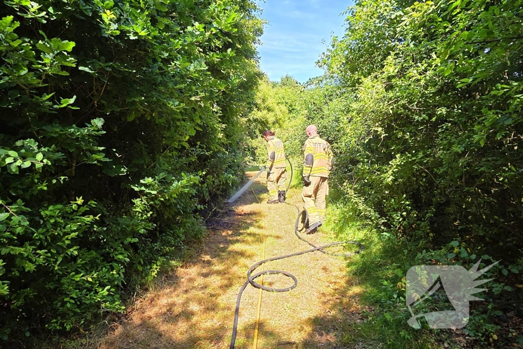 Brand in bosschage snel onder controle