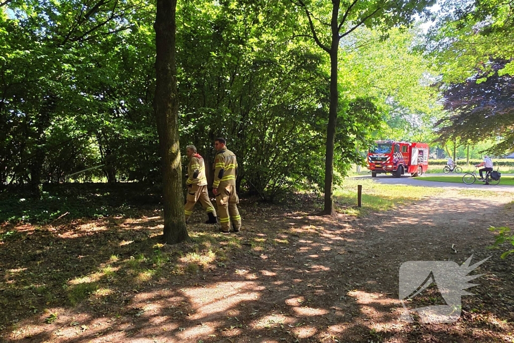 Brand in bosschage snel onder controle