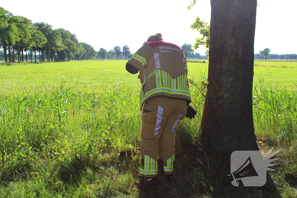 Brandweer onderzoekt gedumpte vaten
