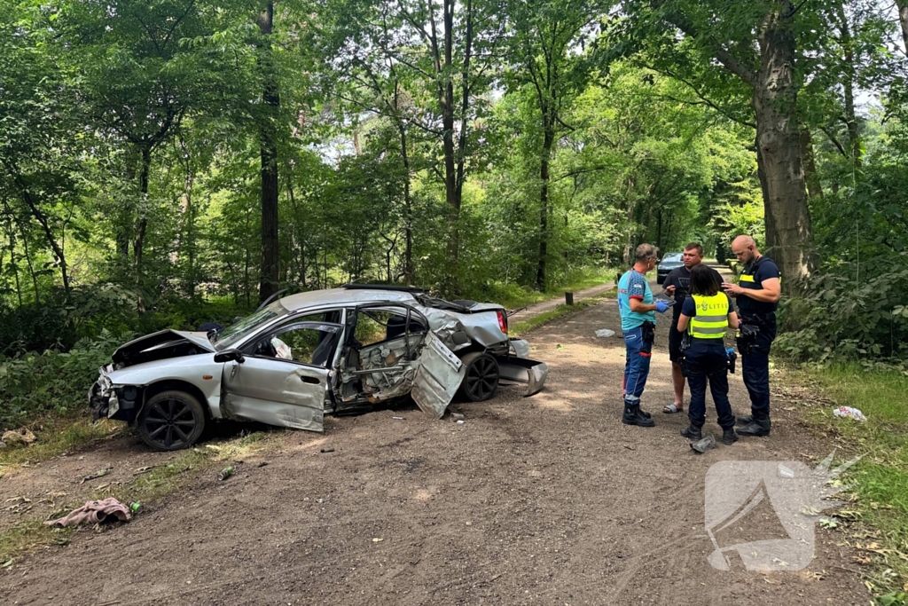 Beschonken bestuurder richt ravage aan
