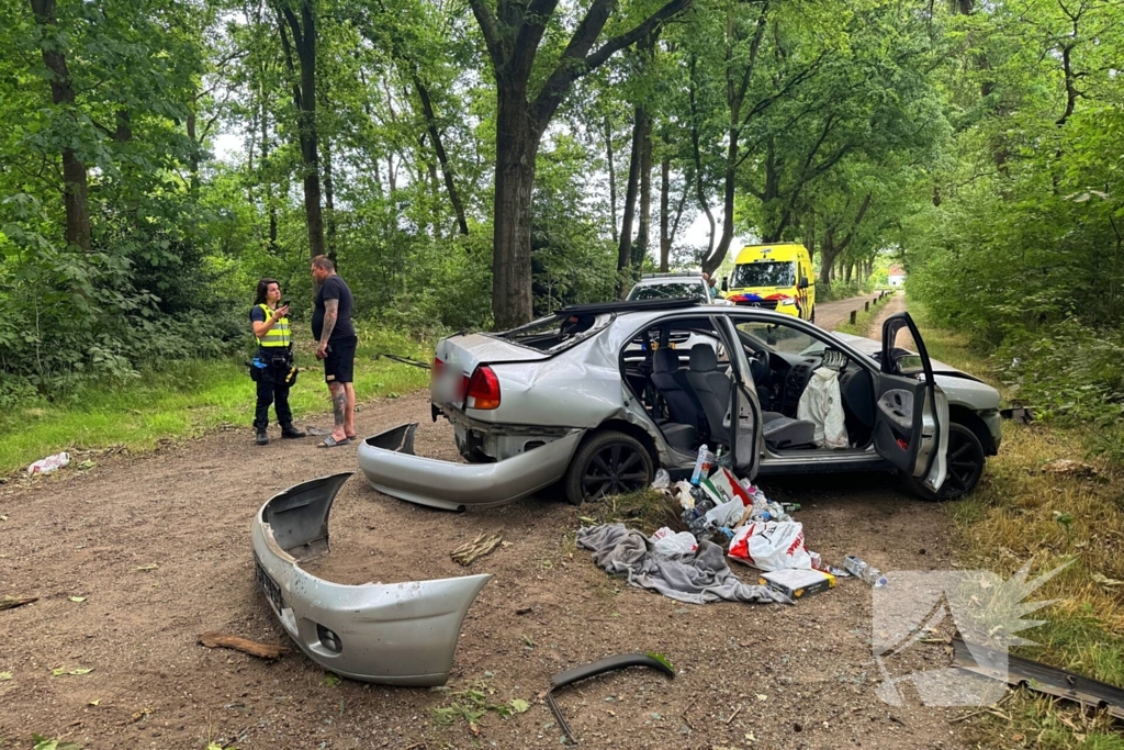 Beschonken bestuurder richt ravage aan