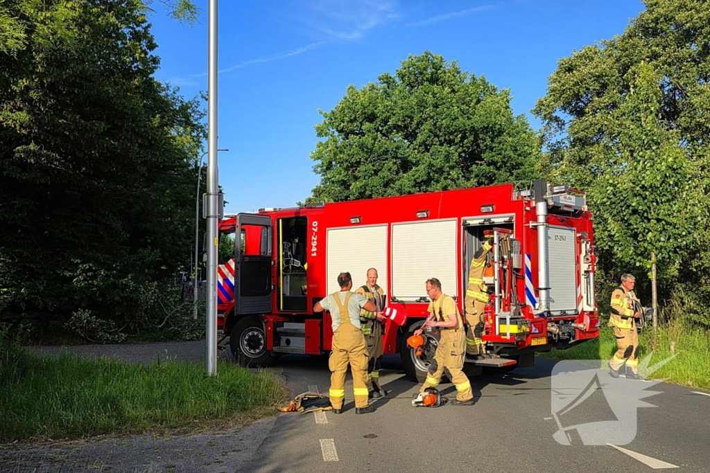 Omgevallen boom blokkeert weg en beschadigt lantaarnpaal