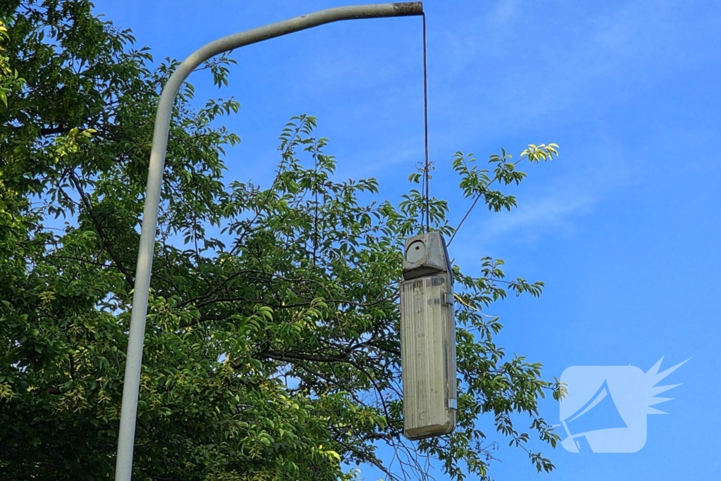 Omgevallen boom blokkeert weg en beschadigt lantaarnpaal