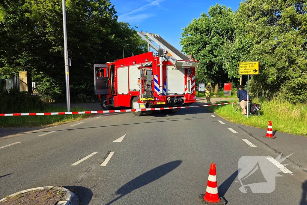 Omgevallen boom blokkeert weg en beschadigt lantaarnpaal