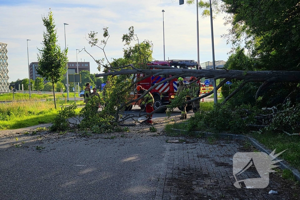 Omgevallen boom blokkeert weg en beschadigt lantaarnpaal